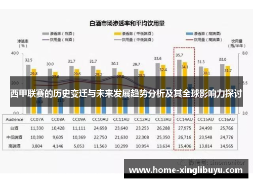 西甲联赛的历史变迁与未来发展趋势分析及其全球影响力探讨